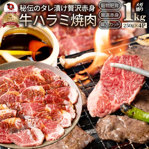牛ハラミ焼肉(タレ漬け)1kg(250g×4) タレ 赤身 はらみ 秘伝 焼肉 やきにく ハラミ アウトドア BBQ キャンプ 爆買_1