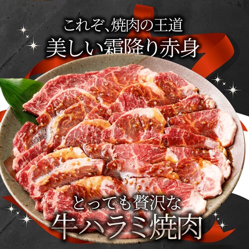 牛ハラミ焼肉(タレ漬け)1kg(250g×4) タレ 赤身 はらみ 秘伝 焼肉 やきにく ハラミ アウトドア BBQ キャンプ 爆買_2