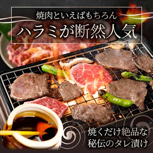 牛ハラミ焼肉(タレ漬け)1kg(250g×4) タレ 赤身 はらみ 秘伝 焼肉 やきにく ハラミ アウトドア BBQ キャンプ 爆買_4