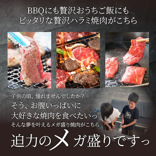 牛ハラミ焼肉(タレ漬け)1kg(250g×4) タレ 赤身 はらみ 秘伝 焼肉 やきにく ハラミ アウトドア BBQ キャンプ 爆買_5
