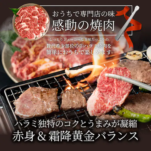 牛ハラミ焼肉(タレ漬け)1kg(250g×4) タレ 赤身 はらみ 秘伝 焼肉 やきにく ハラミ アウトドア BBQ キャンプ 爆買_6