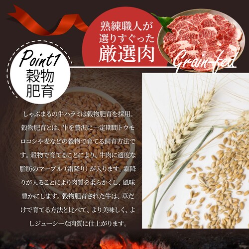 牛ハラミ焼肉(タレ漬け)1kg(250g×4) タレ 赤身 はらみ 秘伝 焼肉 やきにく ハラミ アウトドア BBQ キャンプ 爆買_8