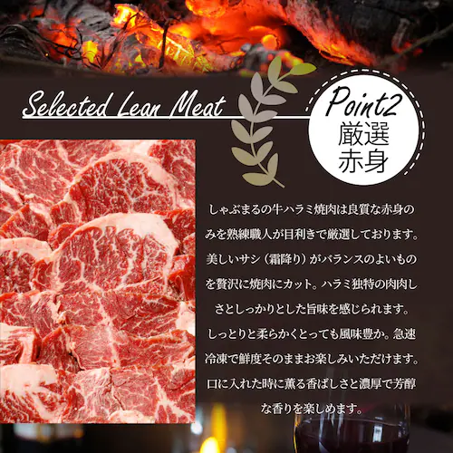 牛ハラミ焼肉(タレ漬け)1kg(250g×4) タレ 赤身 はらみ 秘伝 焼肉 やきにく ハラミ アウトドア BBQ キャンプ 爆買_9