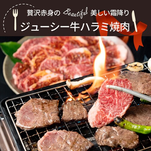 牛ハラミ焼肉(タレ漬け)1kg(250g×4) タレ 赤身 はらみ 秘伝 焼肉 やきにく ハラミ アウトドア BBQ キャンプ 爆買_11