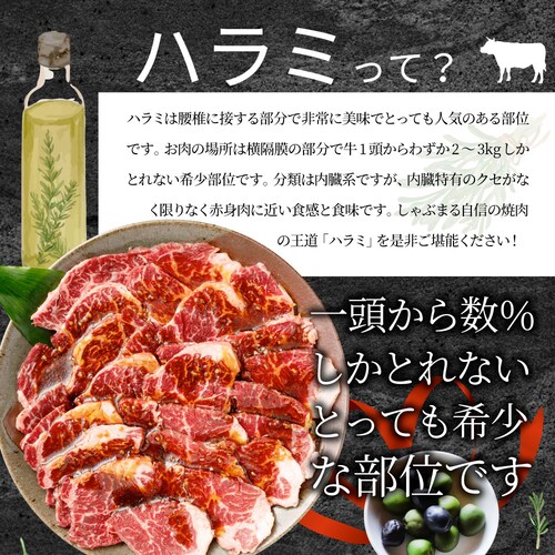 牛ハラミ焼肉(タレ漬け)1kg(250g×4) タレ 赤身 はらみ 秘伝 焼肉 やきにく ハラミ アウトドア BBQ キャンプ 爆買_12