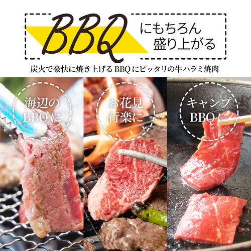 牛ハラミ焼肉(タレ漬け)1kg(250g×4) タレ 赤身 はらみ 秘伝 焼肉 やきにく ハラミ アウトドア BBQ キャンプ 爆買_14