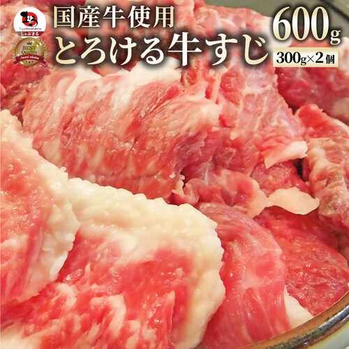 ������ �ύ��ݗp ������ 600g ���� �Ⓚ �� ����������� �� ���� ���Y �� ���X�W �󂠂� ������ �������� ����_1
