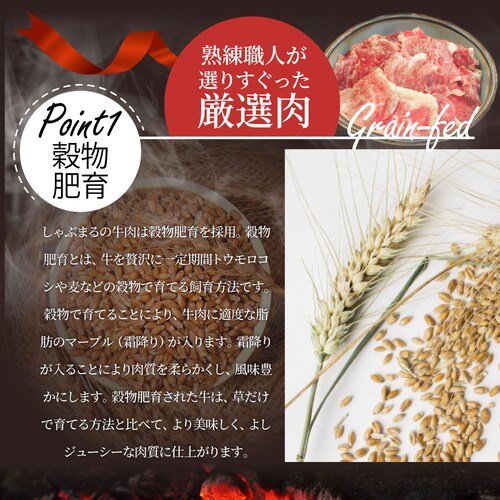 ������ �ύ��ݗp ������ 600g ���� �Ⓚ �� ����������� �� ���� ���Y �� ���X�W �󂠂� ������ �������� ����_10