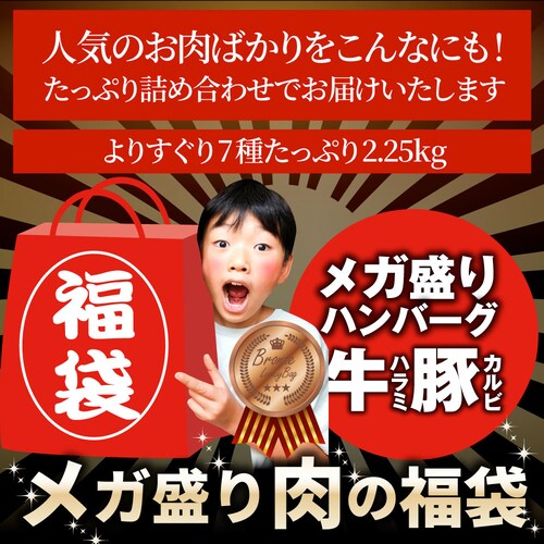 ���̕��� �u�����Y ���K���� ���d��2.25kg�i7�� �H�ה��) ���� �ē��Z�b�g �ē� �\�[�Z�[�W �n���o�[�O ����_15