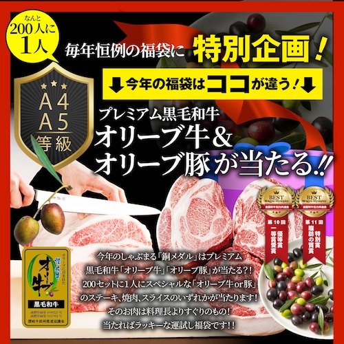 2025 肉 福袋 牛肉 食品 肉の福袋 銅メダル メガ盛り 総重量2.4kg超 焼くだけ&レンジで簡単調理_4