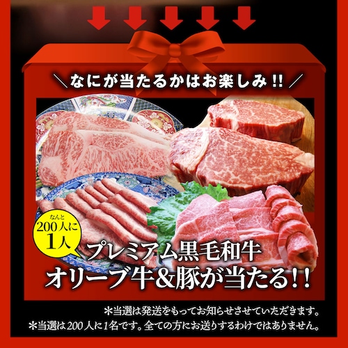 2025 肉 福袋 牛肉 食品 肉の福袋 銅メダル メガ盛り 総重量2.4kg超 焼くだけ&レンジで簡単調理_5