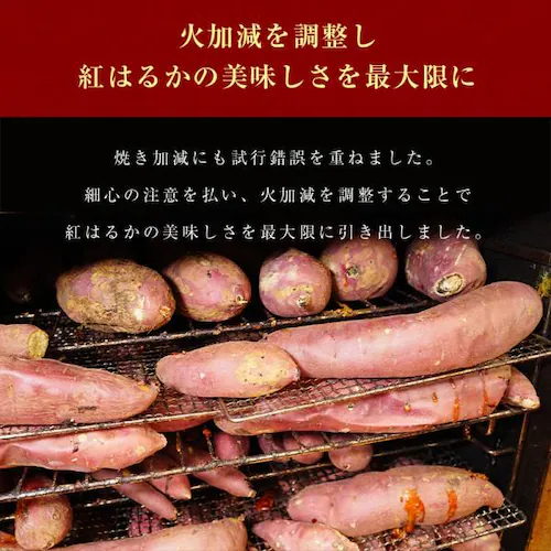送料無料 国産 紅はるか 無添加 600g(200g×3袋) 焼いもから作った干し芋 鹿児島県産 長期熟成 じっくり焼き上げ 訳あり美味 半生 さつまいも ほしいも_2