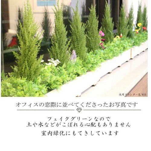 フェイクグリーン ゴールドクレスト プランター アレンジメント 横幅