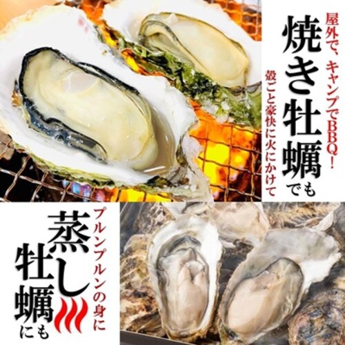 �O���Y �嗱 �k�t�������� ( 10�Z�b�g / ���y�ނ��i�C�t �{ ������ �{ �R�� �t�� / ���H�p )_6