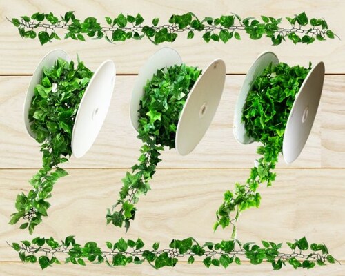 ���ԁ@�A�C�r�[�K�[�����h30���P�ʁ@�c�^�@�X�ܑ����@��ʍw���@_2