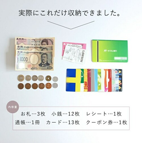 lizdays ���Y�f�C�Y �����z lz-65105 �ʔ� �{�v���z ���v���z ���z �R�C���P�[�X ���T�C�t �T�C�t ���K���� �����O�E�H���b�g �J�[�h���� �X�L�~���O�h�~ �y�� ���� l���t�@�X�i�[_9