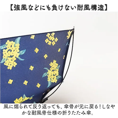 amusant sous la pluie �܂肽���� �ϕ� �ʔ� �܂肽���ݎP �܂��ݎP �ϕ��P �J�P �܂��� 55cm 55�Z���` ��J�� �蓮�J�� ���f�B�[�X�P ���� �P �J�T ���� ��l _2