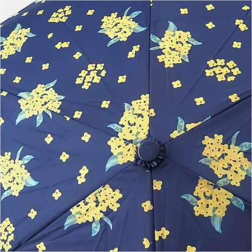 amusant sous la pluie �܂肽���� �ϕ� �ʔ� �܂肽���ݎP �܂��ݎP �ϕ��P �J�P �܂��� 55cm 55�Z���` ��J�� �蓮�J�� ���f�B�[�X�P ���� �P �J�T ���� ��l _10