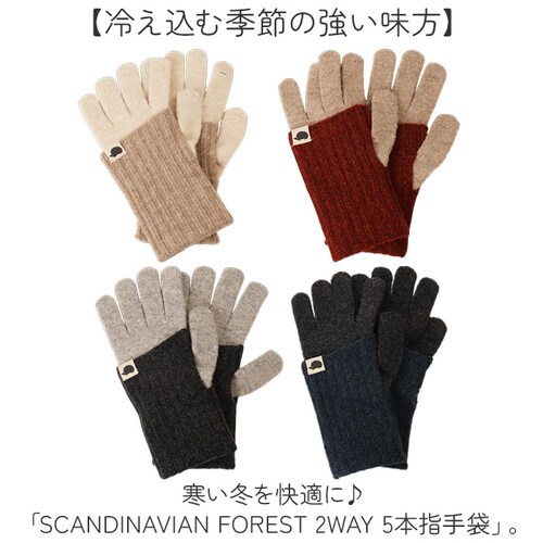 �X�J���W�i�r�A���t�H���X�g ��� 251-TTSF876 �ʔ� SCANDINAVIAN FOREST 5�{�w��� �ܖ{�w��� �O���[�u �n���h�E�H�[�}�[ �X�}�z�Ή� ���f�B�[�X �j�b�g ������� �u_1