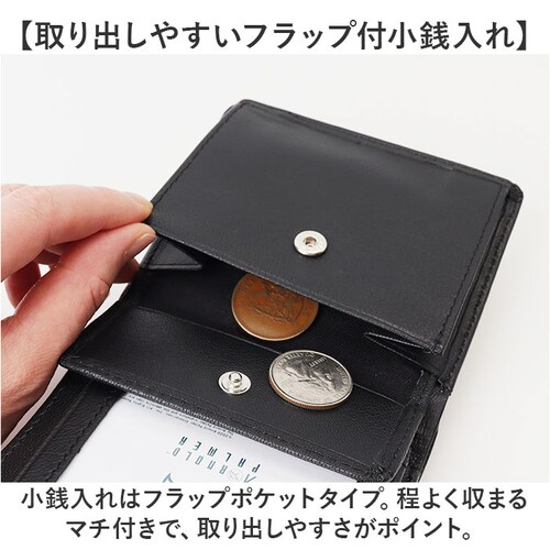 �A�[�m���h�p�[�}�[ ���z ArnoldPalmer 4AP3677 �ʔ� ��܂���z 2�܂���z ��܂� �܍��z �p�X�P�[�X ������� ������ �T�C�t �����z �����Y �j�� �a�m �ʋ� �r�W�l�X_6