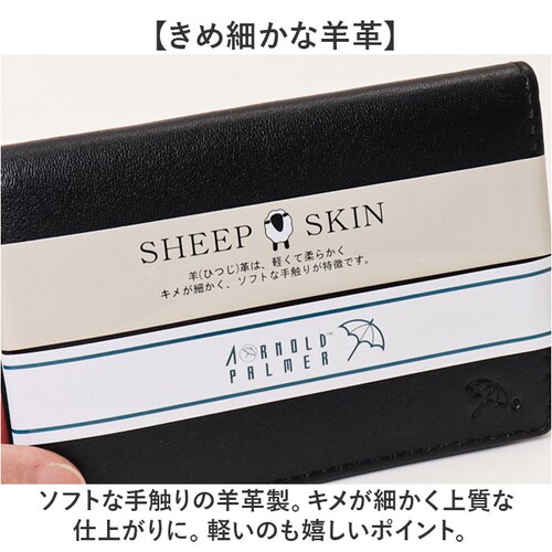 �A�[�m���h�p�[�}�[ �p�X�P�[�X ArnoldPalmer 4AP3208 �ʔ� ������� ��������� ������P�[�X ����P�[�X �J�[�h�P�[�X ���ُ� ID�P�[�X �����Y �r�v �V�[�v�X�L�� �ʋ� �ʊw_2