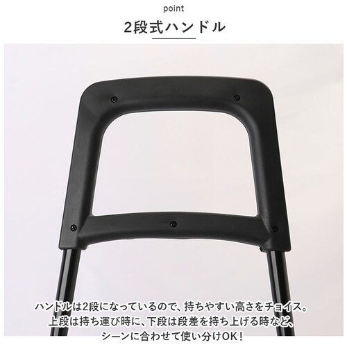 �V���b�s���O�J�[�g ������� �ʔ� ���Y moz �V���b�s���O�L�����[ �L�����[�J�[�g ������ �ۗ�o�b�O ��e�� �L�����[�o�b�O �L�����[ �J�[�g �ۗ�o�b�N ���܌� 36L �t�b�N�t�� ������� _14