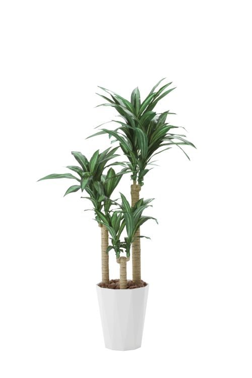 人工観葉植物 光触媒【幸福の木1.6m】インテリア 【代引き不可