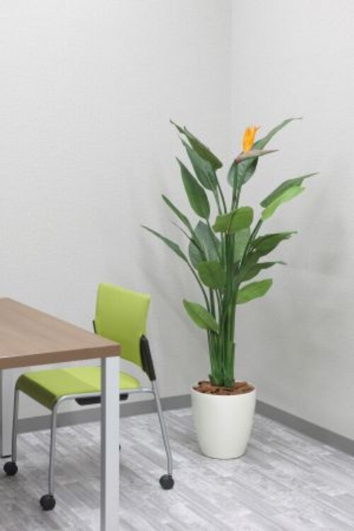 �v�����^�[�@�|�b�g�e��@5���肨�I�щ�����_2