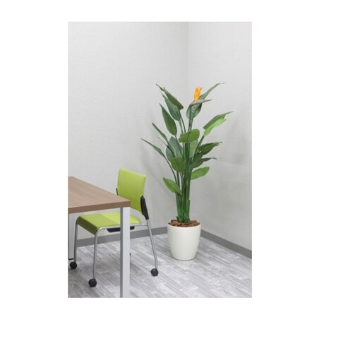 �v�����^�[�@�|�b�g�e��@5���肨�I�щ�����_3