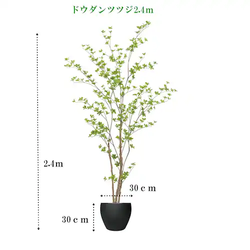 �l�H�ϗt�A���@�h�E�_���c�c�W2.4���@���������@�_�C�������h�G�}���H�ς�_1