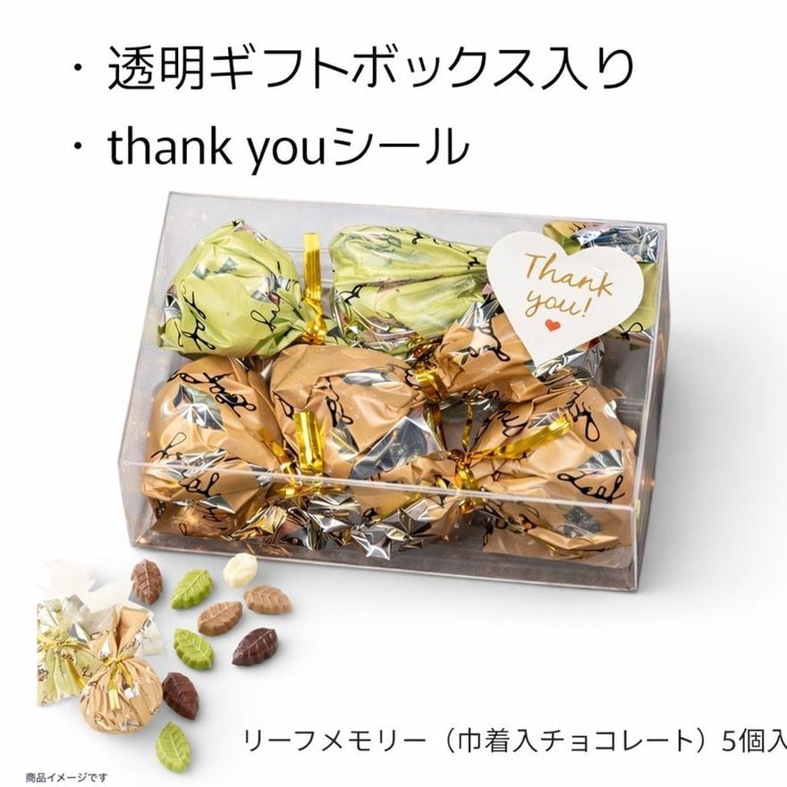 モンロワール リーフメモリー チョコレート 5個 透明ギフトボックス