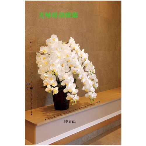 ���G�}�Ӓ���7�{��_1