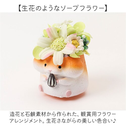 �\�[�v�t�����[ ���W���|�b�g �A�j�}�� �ʔ� �t�����[�M�t�g �� �t�����[ ���� �A�����W�����g �\�[�v �A�����W ���킢�� ���� �M�t�g ���蕨 ������ �~�j ���� �L���[�g �A�j�}���^ �����O�b_3