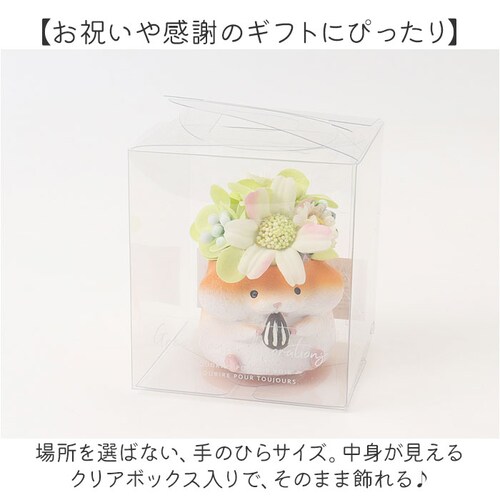 �\�[�v�t�����[ ���W���|�b�g �A�j�}�� �ʔ� �t�����[�M�t�g �� �t�����[ ���� �A�����W�����g �\�[�v �A�����W ���킢�� ���� �M�t�g ���蕨 ������ �~�j ���� �L���[�g �A�j�}���^ �����O�b_6