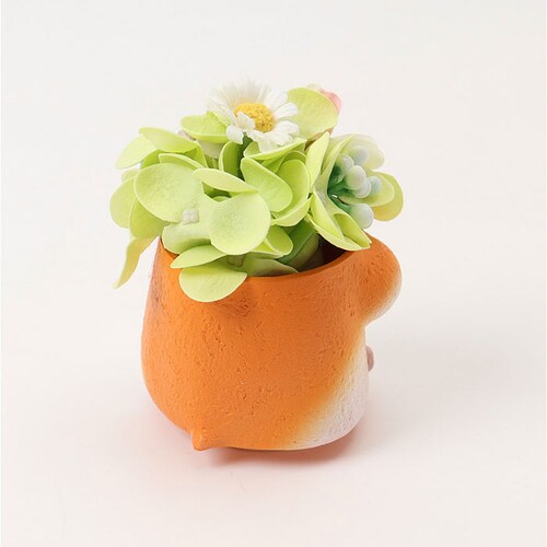 �\�[�v�t�����[ ���W���|�b�g �A�j�}�� �ʔ� �t�����[�M�t�g �� �t�����[ ���� �A�����W�����g �\�[�v �A�����W ���킢�� ���� �M�t�g ���蕨 ������ �~�j ���� �L���[�g �A�j�}���^ �����O�b_7