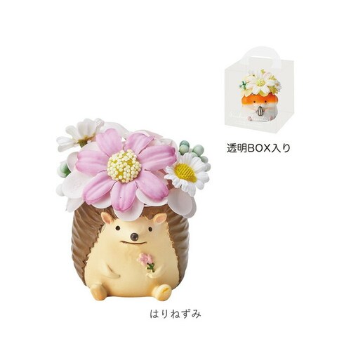 �\�[�v�t�����[ ���W���|�b�g �A�j�}�� �ʔ� �t�����[�M�t�g �� �t�����[ ���� �A�����W�����g �\�[�v �A�����W ���킢�� ���� �M�t�g ���蕨 ������ �~�j ���� �L���[�g �A�j�}���^ �����O�b_9