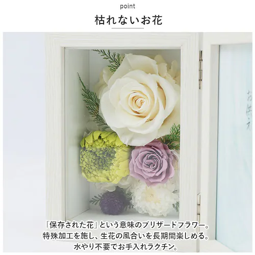 �v���U�[�u�h�t�����[ ���� �ʔ� �ʐ^���� ������ �������A���t�����[ �{�b�N�X �M�t�g ��e �z�� �t�����[ �A�����W�����g �� �������� ���� ����� ���d�p �����d �@�� �@�v ���ފ� �������_2