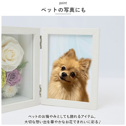 �v���U�[�u�h�t�����[ ���� �ʔ� �ʐ^���� ������ �������A���t�����[ �{�b�N�X �M�t�g ��e �z�� �t�����[ �A�����W�����g �� �������� ���� ����� ���d�p �����d �@�� �@�v ���ފ� �������_5