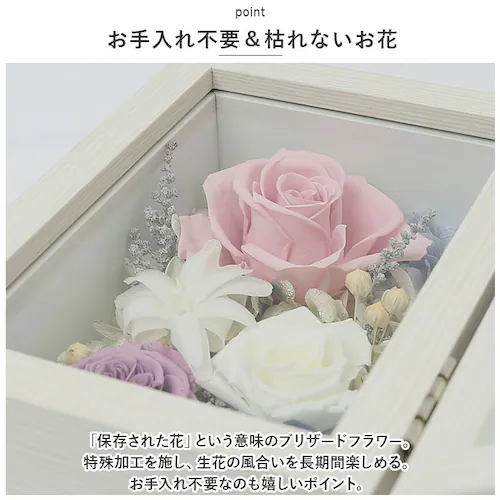 �v���U�[�u�h�t�����[ ���� �ʔ� ������ �ʐ^���� �������A���t�����[ �{�b�N�X �M�t�g ��e �z�� �t�����[ �A�����W�����g �� �������� ���� ����� ���d�p �����d �@�� �@�v ���ފ� �������_2