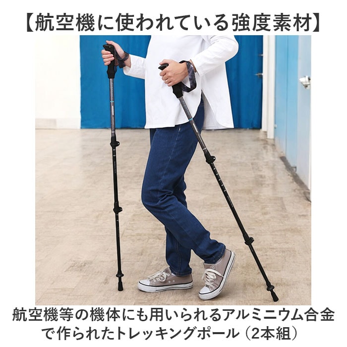 グレージュ トレッキングポール 登山 伸縮 通販 ストックポール