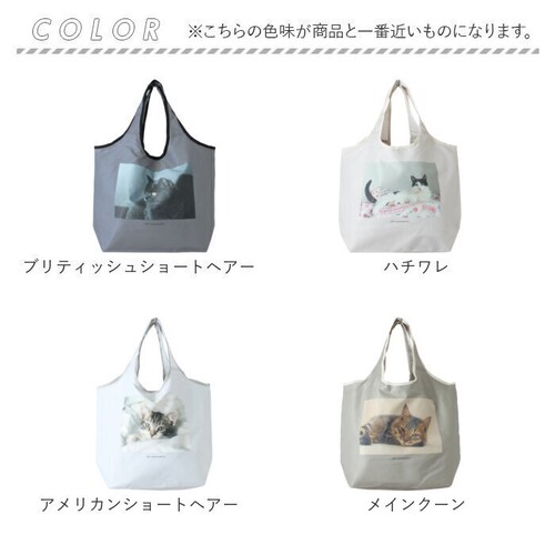 �G�R�o�b�O ������� �܂肽���� �ʔ� �ۗ� �ۉ� �g�[�g�o�b�O �G�R�o�b�N �T�u�o�b�O �V���b�s���O�o�b�O �R���p�N�g �t�@�X�i�[ �o�b�O �W�b�p�[ �`���b�N �܂��� �}�`�L �}�`�t�� �A�j�}���v_15