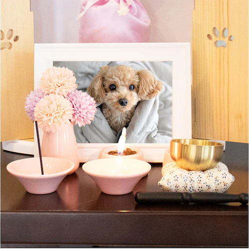 �y�b�g ���d �Z�b�g �ʔ� ���{�� ���Y �y�b�g�p���d �y�b�g���d �������A���{�b�N�X ���� �Ւd ������[ �y�b�g���{ �茳���{ �������^ �z�[���^ �V�g�̂������^ �V�R�� �ؐ� �� ���� �C�k �L_5