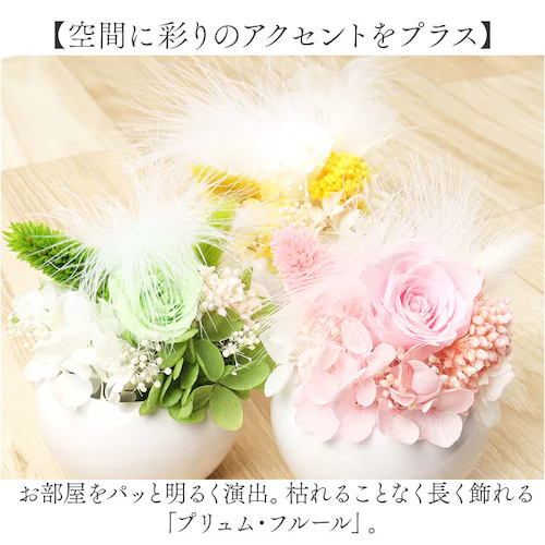 �u���U�[�h�t����- �ʔ� �t�����[�A�����W�����g �t�����[�M�t�g ���� �� ���킢�� ������� �����j�� �V�z�j�� ���� ���r���O ���ʏ� �g�C�� �t�����[ ���z���j�� �ސE �ސE�j�� �C���e���A_1