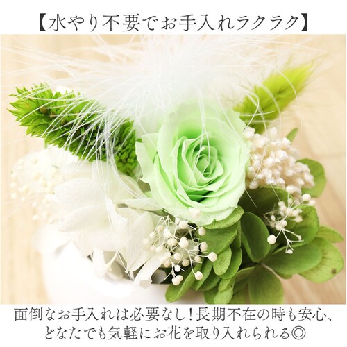 �u���U�[�h�t����- �ʔ� �t�����[�A�����W�����g �t�����[�M�t�g ���� �� ���킢�� ������� �����j�� �V�z�j�� ���� ���r���O ���ʏ� �g�C�� �t�����[ ���z���j�� �ސE �ސE�j�� �C���e���A_4