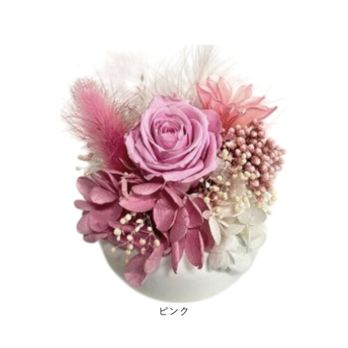 �u���U�[�h�t����- �ʔ� �t�����[�A�����W�����g �t�����[�M�t�g ���� �� ���킢�� ������� �����j�� �V�z�j�� ���� ���r���O ���ʏ� �g�C�� �t�����[ ���z���j�� �ސE �ސE�j�� �C���e���A_8