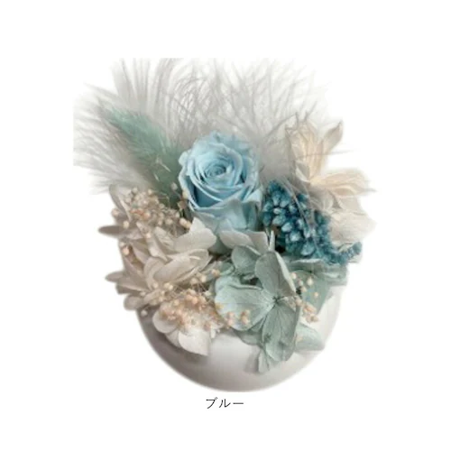 �u���U�[�h�t����- �ʔ� �t�����[�A�����W�����g �t�����[�M�t�g ���� �� ���킢�� ������� �����j�� �V�z�j�� ���� ���r���O ���ʏ� �g�C�� �t�����[ ���z���j�� �ސE �ސE�j�� �C���e���A_11