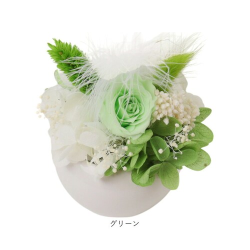 �u���U�[�h�t����- �ʔ� �t�����[�A�����W�����g �t�����[�M�t�g ���� �� ���킢�� ������� �����j�� �V�z�j�� ���� ���r���O ���ʏ� �g�C�� �t�����[ ���z���j�� �ސE �ސE�j�� �C���e���A_14