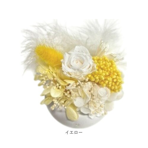 �u���U�[�h�t����- �ʔ� �t�����[�A�����W�����g �t�����[�M�t�g ���� �� ���킢�� ������� �����j�� �V�z�j�� ���� ���r���O ���ʏ� �g�C�� �t�����[ ���z���j�� �ސE �ސE�j�� �C���e���A_16