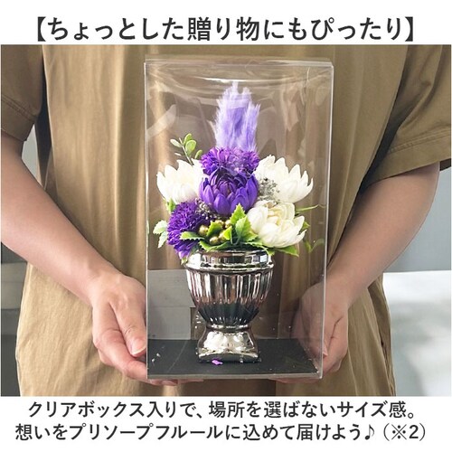 �v���U�[�u�h�t�����[ ���� ������ �ʔ� �v���U�[�h�t�����[���d �u���U�[�h�t�����[ ���d�p �u���U�[�u�h�t�����[ �t�����[�A�����W�����g �\���C�� �y�W�[�u�� �������� �Ԃ肴�[�Ԃǂӂ��[ ���d _5