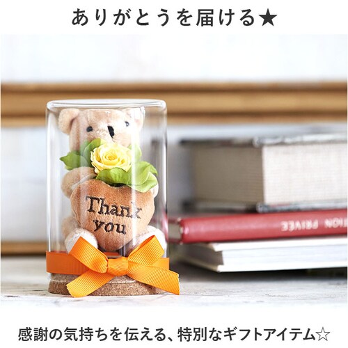 �v���U�[�u�h�t�����[ ���킢�� �ʔ� ���g���x�A �t�����[�A�����W�����g �v���U�[�h�t�����[ �t�����[�M�t�g ���� �� ���� �F �t�����[ ���� ���Ԃ� �M�t�g thank you ���� �M�t�g ���_2